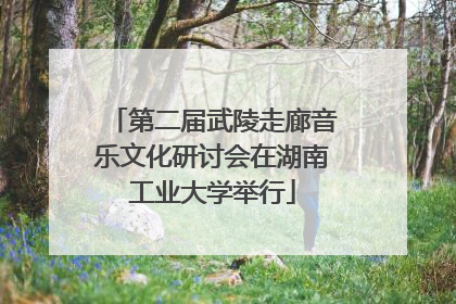 第二届武陵走廊音乐文化研讨会在湖南工业大学举行