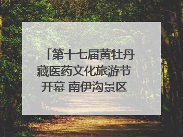 第十七届黄牡丹藏医药文化旅游节开幕 南伊沟景区重新开放