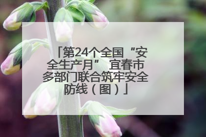 第24个全国“安全生产月” 宜春市多部门联合筑牢安全防线（图）