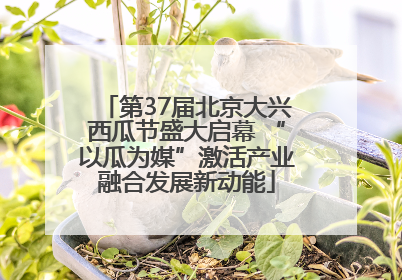 第37届北京大兴西瓜节盛大启幕 “以瓜为媒”激活产业融合发展新动能