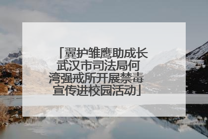 翼护雏鹰助成长 武汉市司法局何湾强戒所开展禁毒宣传进校园活动