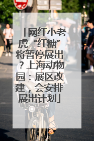 网红小老虎“红糖”将暂停展出？上海动物园：展区改建，会安排展出计划