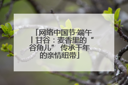 网络中国节·端午丨甘谷：麦香里的“谷角儿” 传承千年的亲情纽带