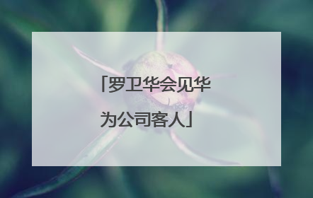 罗卫华会见华为公司客人