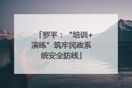 罗平：“培训+演练”筑牢民政系统安全防线