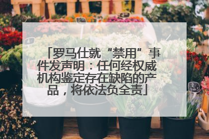 罗马仕就“禁用”事件发声明：任何经权威机构鉴定存在缺陷的产品，将依法负全责