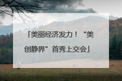 美丽经济发力！“美创静界”首秀上交会