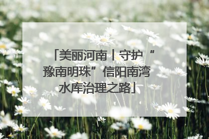 美丽河南丨守护“豫南明珠”信阳南湾水库治理之路