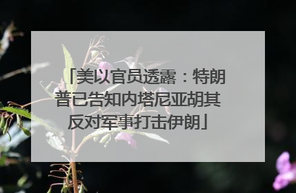 美以官员透露：特朗普已告知内塔尼亚胡其反对军事打击伊朗