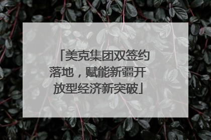 美克集团双签约落地，赋能新疆开放型经济新突破