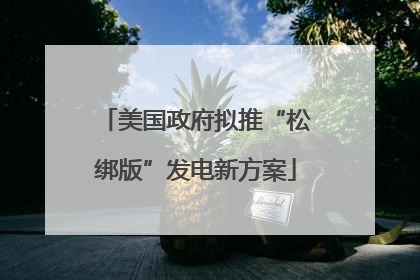 美国政府拟推“松绑版”发电新方案