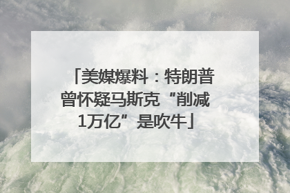 美媒爆料：特朗普曾怀疑马斯克“削减1万亿”是吹牛