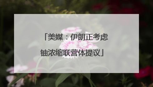 美媒：伊朗正考虑铀浓缩联营体提议