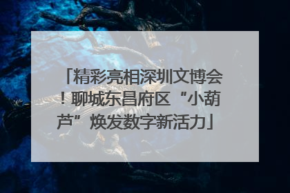 精彩亮相深圳文博会！聊城东昌府区“小葫芦”焕发数字新活力