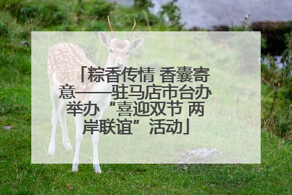 粽香传情 香囊寄意——驻马店市台办举办“喜迎双节 两岸联谊”活动