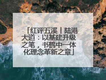 红评五溪丨陆港大道：以基建升级之笔，书鹤中一体化理念革新之章