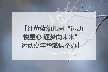 红黄蓝幼儿园“运动悦童心 逐梦向未来”运动嘉年华燃情举办