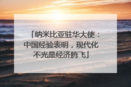纳米比亚驻华大使：中国经验表明，现代化不光是经济腾飞