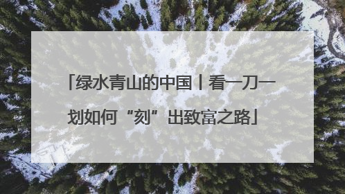 绿水青山的中国丨看一刀一划如何“刻”出致富之路