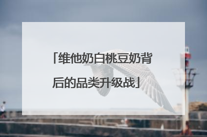 维他奶白桃豆奶背后的品类升级战