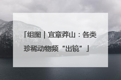 组图｜宜章莽山：各类珍稀动物频“出镜”