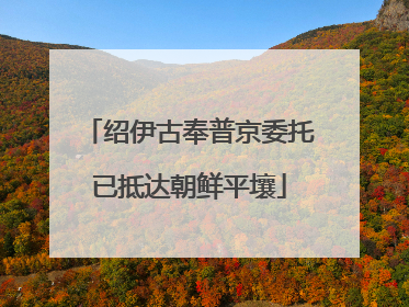 绍伊古奉普京委托已抵达朝鲜平壤