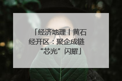 经济地理丨黄石经开区：聚企成链“芯光”闪耀