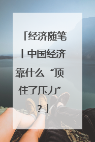 经济随笔丨中国经济靠什么“顶住了压力”？