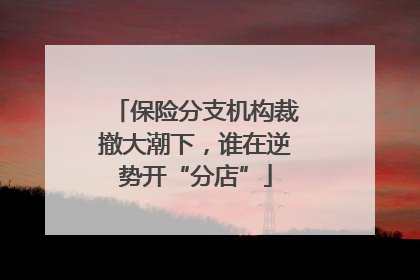 保险分支机构裁撤大潮下，谁在逆势开“分店”