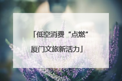 低空消费“点燃”厦门文旅新活力