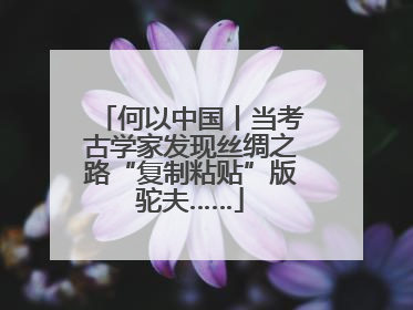 何以中国丨当考古学家发现丝绸之路“复制粘贴”版驼夫……