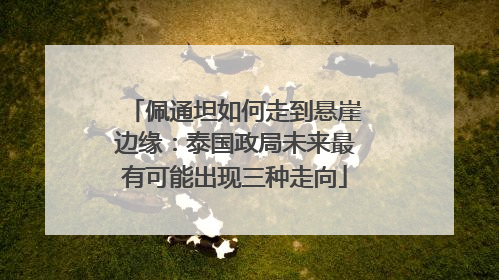 佩通坦如何走到悬崖边缘：泰国政局未来最有可能出现三种走向
