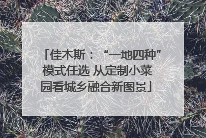 佳木斯：“一地四种” 模式任选 从定制小菜园看城乡融合新图景