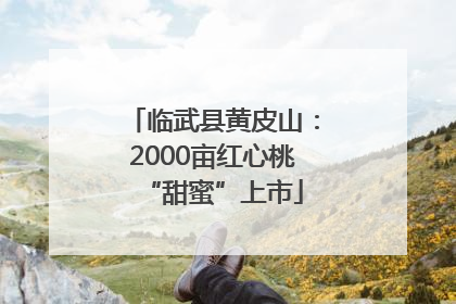 临武县黄皮山：2000亩红心桃“甜蜜”上市