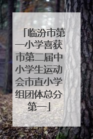 临汾市第一小学喜获市第二届中小学生运动会市直小学组团体总分第一