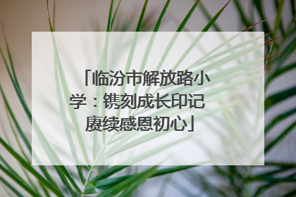 临汾市解放路小学：镌刻成长印记 赓续感恩初心