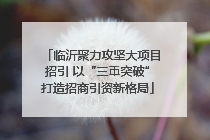 临沂聚力攻坚大项目招引 以“三重突破”打造招商引资新格局
