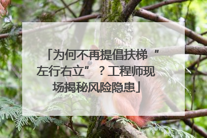 为何不再提倡扶梯“左行右立”？工程师现场揭秘风险隐患