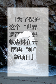 为了保护这个“世界遗产”，蚂蚁森林在云南再“种”新项目