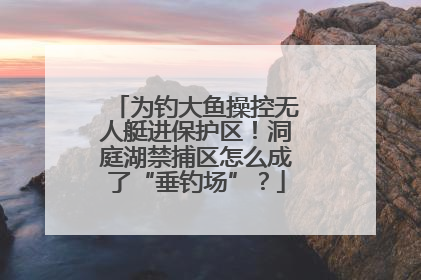 为钓大鱼操控无人艇进保护区！洞庭湖禁捕区怎么成了“垂钓场”？