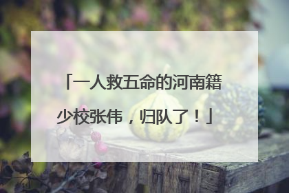 一人救五命的河南籍少校张伟，归队了！
