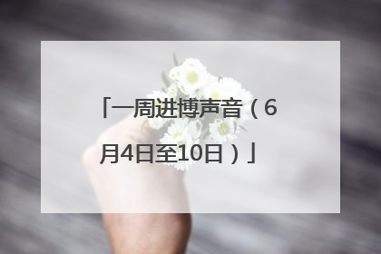 一周进博声音（6月4日至10日）