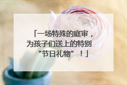 一场特殊的庭审，为孩子们送上的特别“节日礼物”！