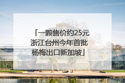 一颗售价约25元 浙江台州今年首批杨梅出口新加坡