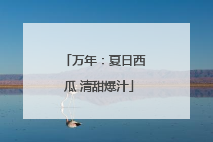 万年：夏日西瓜 清甜爆汁
