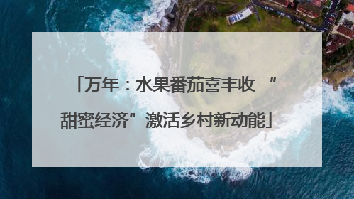 万年：水果番茄喜丰收 “甜蜜经济”激活乡村新动能