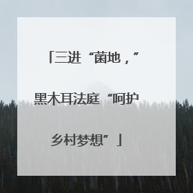 三进“菌地，”黑木耳法庭“呵护乡村梦想”