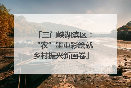 三门峡湖滨区：“农”墨重彩绘就乡村振兴新画卷