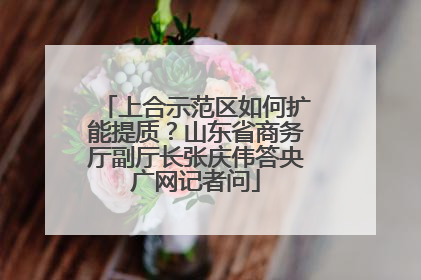 上合示范区如何扩能提质？山东省商务厅副厅长张庆伟答央广网记者问