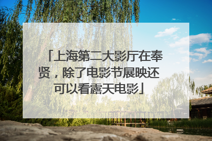 上海第二大影厅在奉贤，除了电影节展映还可以看露天电影